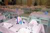 Bluesun Hotel Alga 